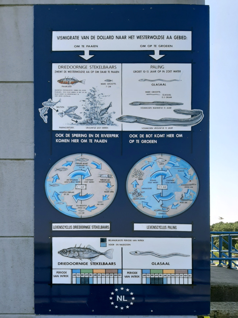 Tafel am Schleusenkomplex Nieuwe Statenzijl am Dollart